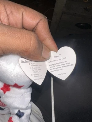 Juguete de peluche Ty Glory the Bear - 4188 millas en estado Foto 1 de 2