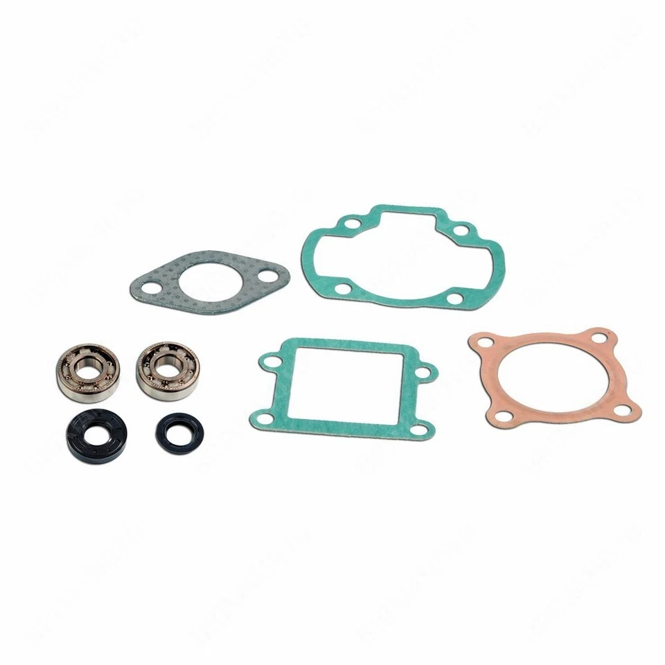 C4 075102 KIT CUSCINETTI SKF GUARNIZIONI CILINDRO BOOSTER