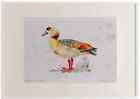 A2 Egyption Goose Adult Watercolour Ltd Edition Picture Framed