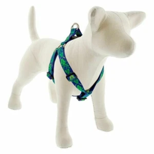 Lupine Lucky Collar, Harness or Leash - Picture 1 of 5