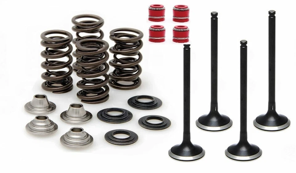 Yamaha 07-20 Grizzly 700 Kibblewhite (2) Intake (2) Exhaust Valve (4) Spring Kit - Image 1 of 1
