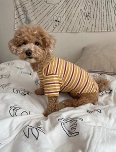 Pet Clothes cotton Dog Pet T-shirt / Cute short sleeve T-shirt / Stripe T-shirt - Picture 1 of 10