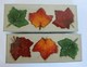 FALL Harvest Autumn New in Box 2 Sets CandleZ Floating Maple Leaves Leaf Candles FALL Harvest Autumn New in Box 2 Sets CandleZ Floating Maple Leaves Leaf Candles