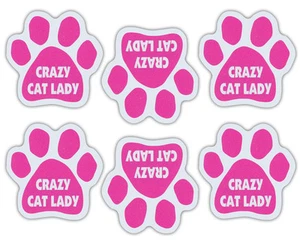 Mini imanes de pata de gato (juego de 6) - rosa gato loco dama - coche, refrigerador, más - Imagen 1 de 1