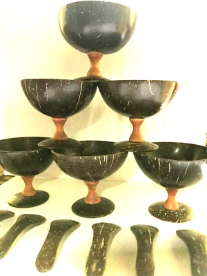 Juego de 6 tazas de postre y cuchara ecológicas 100 % natural con cáscara de coco Foto 1 de 4