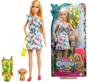 Barbie & Chelsea The Lost Birthday - Barbie Doll and Accessories - Picture 1 of 14