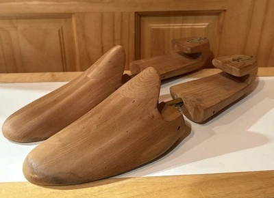 Zapato Bari Of Florida XL cuernos cedro  Foto 1 de 4