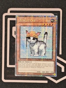 RA02-EN001 Rescue Cat  Quarter Century Secret Rare  YuGiOh - Picture 1 of 1