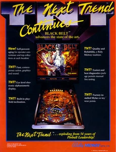 Pinball ROM SOUND chip Bally Blackbelt - Picture 1 of 1