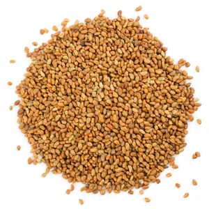 Organic Alfalfa Seeds for Sprouting - Non-GMO, Kosher, Vegan - by Food To Live - Picture 1 of 72