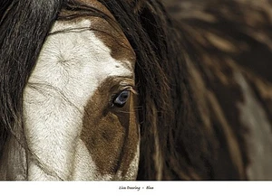 Blue Art Print by Lisa Dearing 36 x 26 in. Paper Size New Unframed - Picture 1 of 1