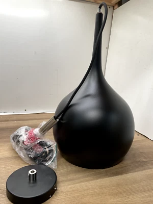 Colgante Hinkley Lighting 4457BK Ziggy luz única 12" ancho - negro LEER Foto 1 de 2