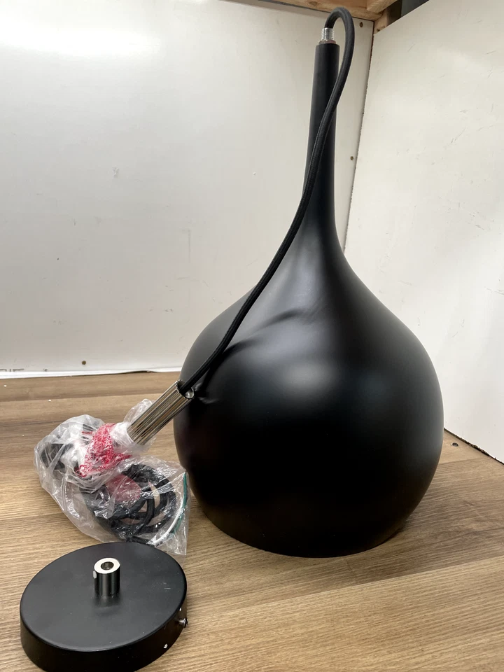 Colgante Hinkley Lighting 4457BK Ziggy luz única 12" ancho - negro LEER Foto 1 de 2