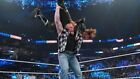BROCK LESNAR 8x10 COLOR PHOTO WWE ECW TNA NXT HOH IMPACT AEW 