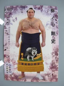 Tarjeta de jcc Tochinoshin Tsuyoshi Sumo Hana Pro Sumo Pop Japón BBM 2022 En S - Imagen 1 de 10