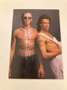 Eddie Van Halen und Alex Van Halen haben Milch Wo ist dein Schnurrbart POSTKARTE - Bild 1 von 3
