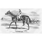 HORSE RACING Old Trick Winner of the Cambridgeshire Stakes - Antique Print 1857