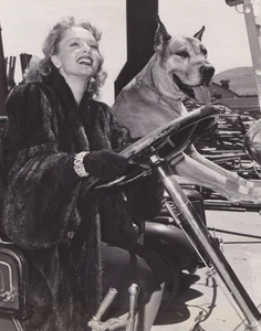 1943 Press Photo Actress Elaine Shepard Poses with Pet Dog for RKO Radio Studio - Picture 1 of 2