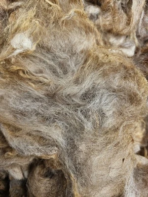 250 g de lana de cordero Coburger Zorro, lana cruda lavada para hilar, fieltro, manualidades - Imagen 1 de 3