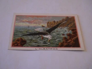 CHROMO IMAGE L'ALBATROS - Picture 1 of 1