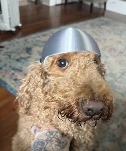 Dog Motorcycle Helmet - Picture 1 of 3