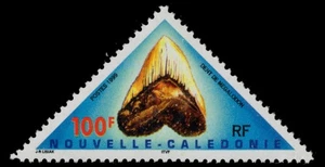 NEW CALEDONIA 817 - Megalodon Fossil Tooth "Carcharodon megalodon" (pc38328) - Picture 1 of 1