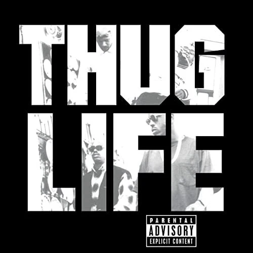 2Pac - Thug Life Vol. 1 - LP 180g Vinyl -  Neu & OVP - Bild 1 von 1