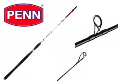 Отличное спиннинговое удилище Penn Squadron ll SW H-Spin 8 футов (2,4 м) 50-100 г - Изображение 1 из 4