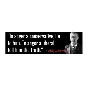 Vinyl Sticker - Theodore Teddy Roosevelt Anger Liberal Conservative Truth Lie - Picture 1 of 7