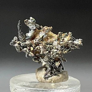 SS Rocks - Silver Crystals (Batopilas, Mexico) 0.50cts - Picture 1 of 5