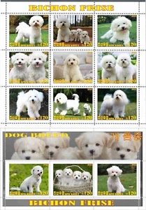 Stamp sheet+block Bichon Frise Dogs 2021 Korea issue - Picture 1 of 1