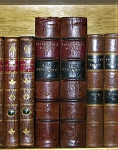 THE NEWCOMES, WILLIAM M. THACKERAY, 1869, 2 VOLUME SET. LEATHER, ILLUSTRATED - Picture 1 of 12