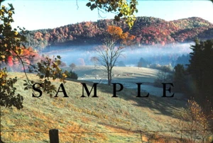 KODACHROME COLOR SLIDE - AUTUMN, SMOKIES, NC - ORIG ONE OF A KIND - Picture 1 of 1