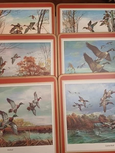 Tovagliette Pimpernel vintage anni 70 80 anatre pollame selvatico 9" x 7,5" set di 6 senza scatola - Foto 1 di 8