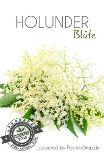 Holunderblüte - Sirup - Holunder - Getränkesirup - Postmix - 10lBiB (7,50€/L) - Bild 1 von 2