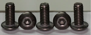 10 x Titan Grade 2 Schrauben / Titanium screws ISO 7380  M2,5 x 8* - Picture 1 of 1