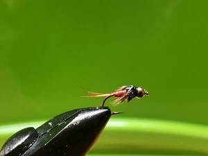 12 Brass Bead Red Copper John Nymph Wet Fly Trout - Picture 1 of 1