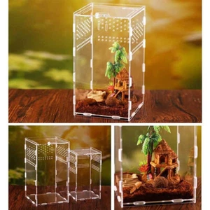 Transparent Acrylic Boxes Reptile Breeding Box Insect Lizard Spider Feeding Cage - Picture 1 of 17