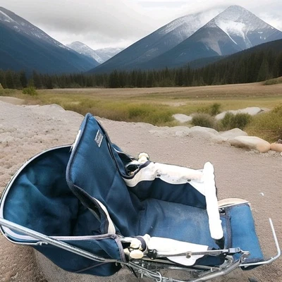 Винтажная коляска/коляска Emmaljunga  - Изображение 1 из 4