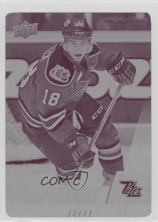 2017-18 Upper Deck CHL Printing Plate Magenta 1/1 Adam Timleck #290 z1b - Image 1 of 3
