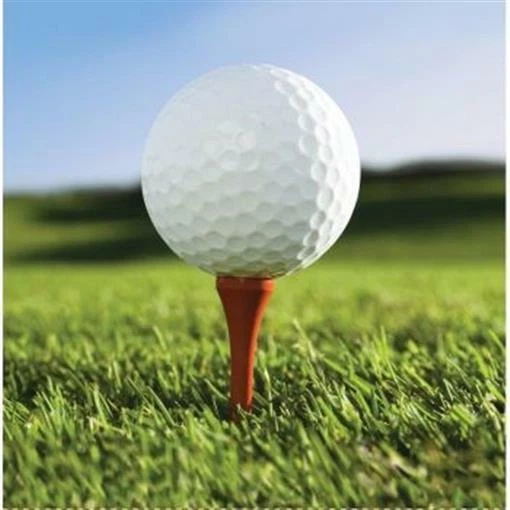 Paquete de 18 servilletas de almuerzo de golf para fanáticos de los deportes decoraciones de fiesta de cumpleaños Foto 1 de 1