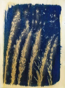 Cianotipia su legno "Era una notte buia e ventosa" di G. Coassin - 20x30 - Foto 1 di 4