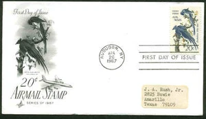 C71 AUDUBON FDC AUDUBON, NY ART CRAFT CACHET - Picture 1 of 1