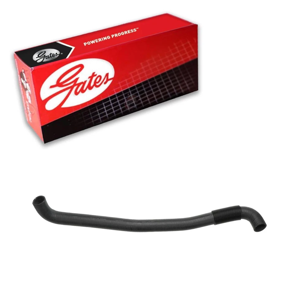 Manguera de refrigerante de radiador Gates para Lincoln Continental 1995-2002 4,6 L V8 GAS Foto 1 de 3