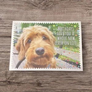 Birthday Card - Dog Golden doodle - Him Her - Picture 1 of 3