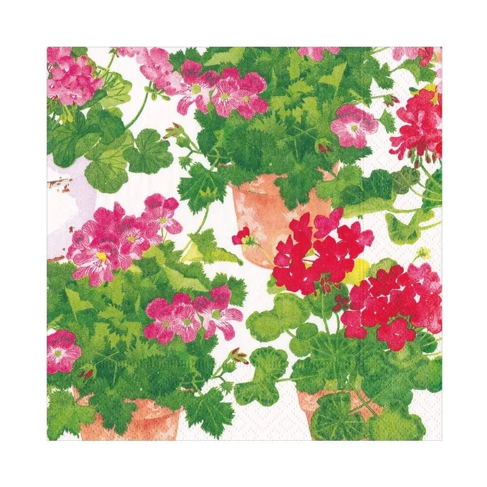 Caspari Paper Luncheon Napkins, Trailing Geranium - 2 Packs (17320L) - Image 1 of 1