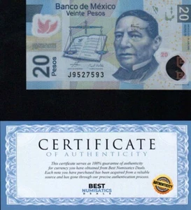 MEXICO 20 PESOS P122 2006 BOOK PIGEON POLYMER *B* SERIES CIRC BANKNOTE -BEST- - Picture 1 of 2