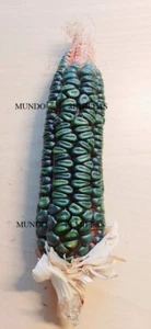 Corn Green Oaxacan Variety Antique Indians 5 Seeds Vegetable Garden - Picture 1 of 1
