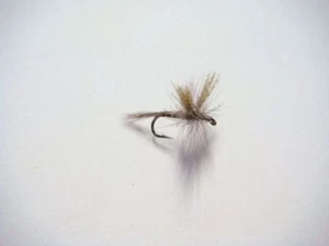 3 x mouches QUILL GORDON H14 fliegen mosca flies - Imagen 1 de 1