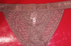 NeW Vs Pink Older Style leopard lace logo bikini Panty Size small cocoa powder - Picture 1 of 2